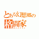 とある幻想郷の格闘家（ホンメイリン）