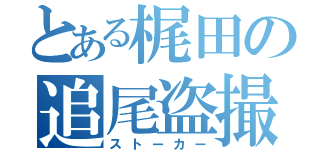 とある梶田の追尾盗撮（ストーカー）