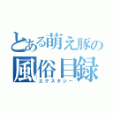 とある萌え豚の風俗目録（エクスタシー）