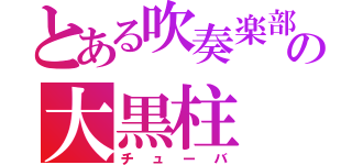 とある吹奏楽部の大黒柱（チューバ）