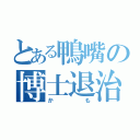 とある鴨嘴の博士退治（かも）