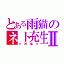 とある雨猫のネト充生活Ⅱ（★雨猫★）