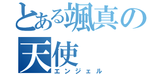 とある颯真の天使（エンジェル）