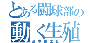 とある闘球部の動く生殖器（田中耀太郎）