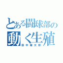 とある闘球部の動く生殖器（田中耀太郎）