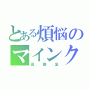 とある煩悩のマインクラフター（髙橋凜）