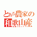 とある農家の和歌山産（生姜シロップ）