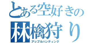 とある空好きの林檎狩り（アップルハンティング）