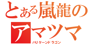 とある嵐龍のアマツマガツチ（ハリケーンドラゴン）