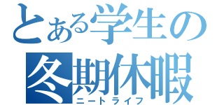 とある学生の冬期休暇（ニートライフ）