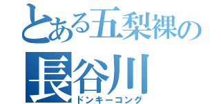 とある五梨裸の長谷川 慧（ドンキーコング）