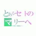 とあるセトのマリーへの愛（その時…絵里香は？！）