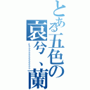 とある五色の哀兮、蘭（２３３３３３３３３３３３）