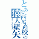 とある西尾高校の猿人壁矢（ホモ・サピエンス）