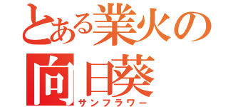 とある業火の向日葵（サンフラワー）