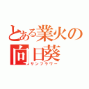 とある業火の向日葵（サンフラワー）