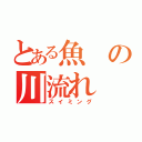 とある魚の川流れ（スイミング）