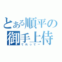 とある順平の御手上侍（てれってー）