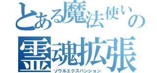 とある魔法使いの霊魂拡張（ソウルエクスパンション）