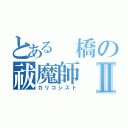 とある 橋の祓魔師Ⅱ（カリコシスト）