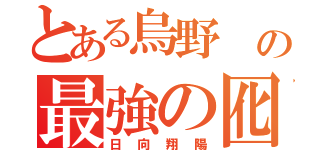 とある烏野 の最強の囮（日向翔陽）