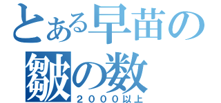 とある早苗の皺の数（２０００以上）