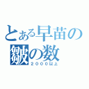 とある早苗の皺の数（２０００以上）