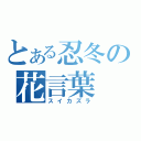 とある忍冬の花言葉（スイカズラ）