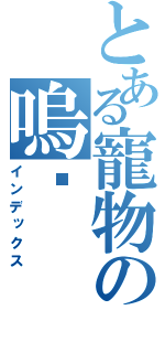 とある寵物の嗚咕（インデックス）