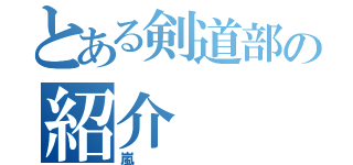 とある剣道部の紹介（嵐）