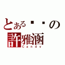 とある喵喵の許雅涵（Ｃａｎｄｙ）