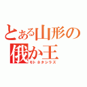 とある山形の俄か王（モトネタシラズ）