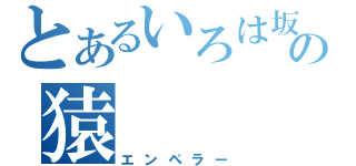 とあるいろは坂のの猿（エンペラー）