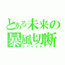 とある未来の暴風切断（カマイタチ）