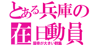 とある兵庫の在日動員（眉骨が大きい群集）