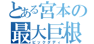 とある宮本の最大巨根（ビックダディ）