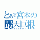 とある宮本の最大巨根（ビックダディ）