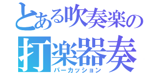 とある吹奏楽の打楽器奏（パーカッション）