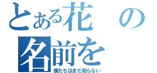 とある花の名前を（僕たちはまだ知らない）