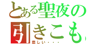 とある聖夜の引きこもり（悲しい・・・）