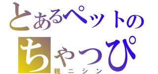 とあるペットのちゃっぴー（親ニシン）