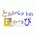 とあるペットのちゃっぴー（親ニシン）