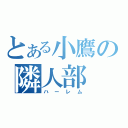 とある小鷹の隣人部（ハーレム）