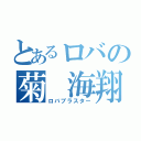 とあるロバの菊　海翔（ロバブラスター）