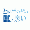 とある林の上履きの中、臭い（林「しね」）