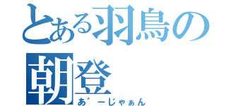 とある羽鳥の朝登（あ゛ーじゃぁん）