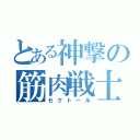 とある神撃の筋肉戦士（セクトール）