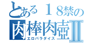 とある１８禁の肉棒肉壺Ⅱ（エロパラダイス）