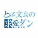 とある文鳥の求愛ダンス（鳥の発情期）