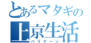 とあるマタギの上京生活（ハリケーン）